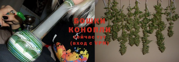 spice Няндома