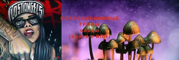 spice Няндома