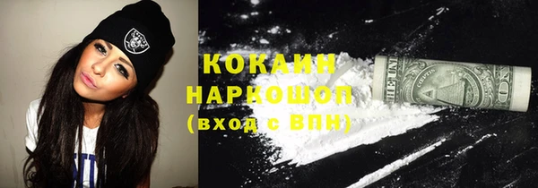 spice Няндома