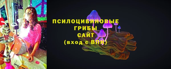 кристаллы Осинники