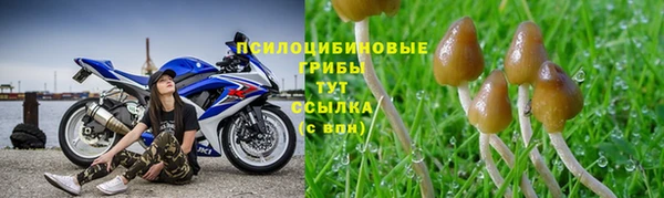 mdma Осташков